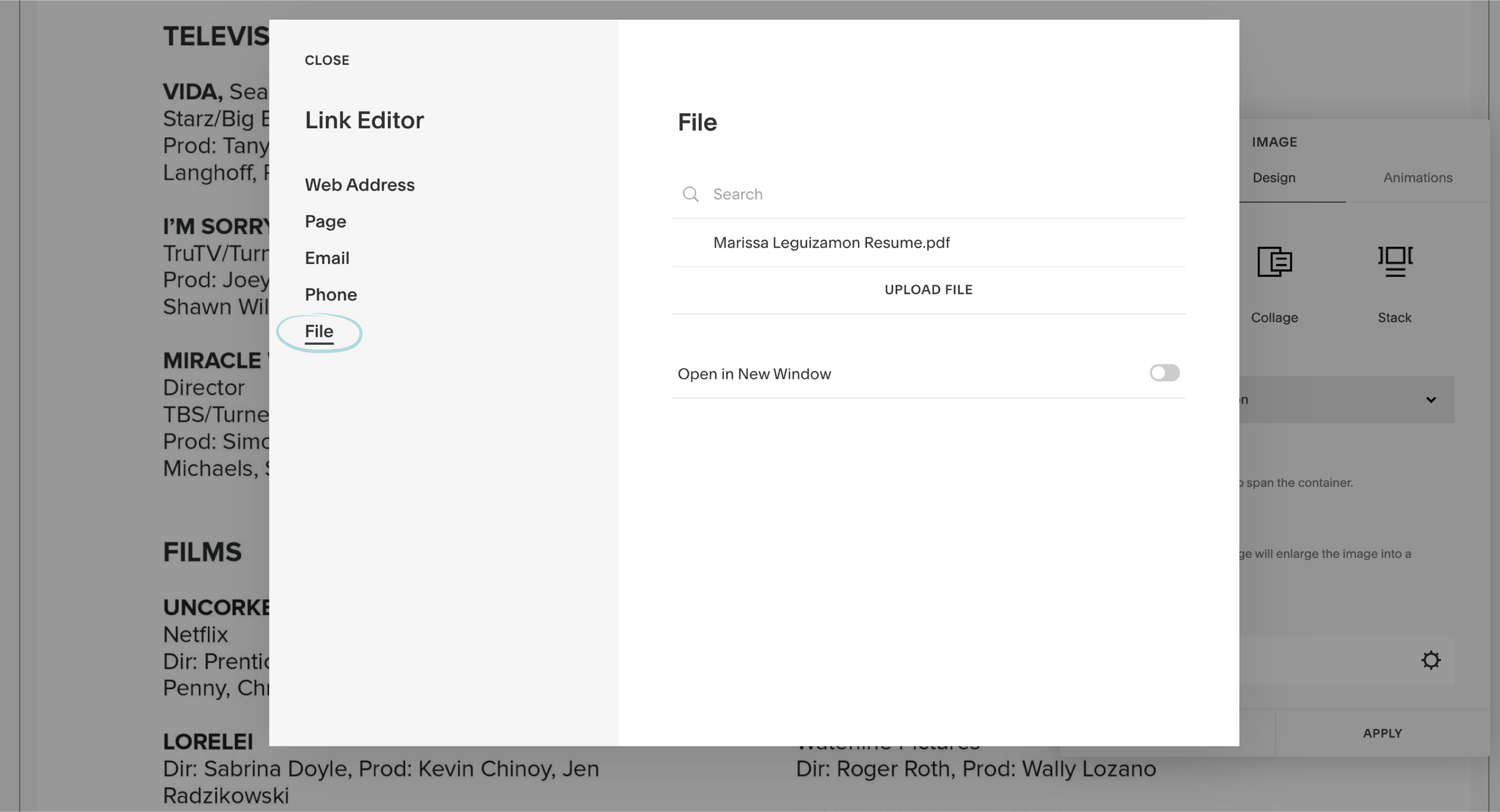 how to add a pdf download to squarespace